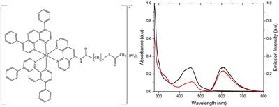 Photophysics and Cell Uptake of Self-Assembled Ru(II)Polypyridyl Vesicles
